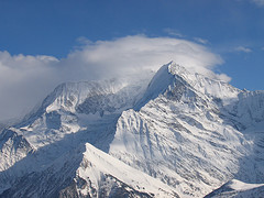 20060209215339-97655888-c56331185b-m.jpg